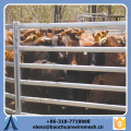 Customized High Quality and Strength Square/Round/Oval Tubes Style Cattle Fence